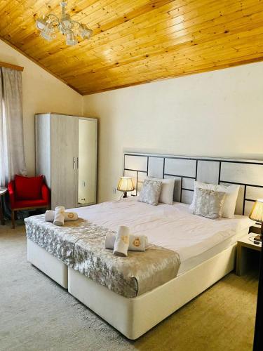 Gallery image of MinAli Boutique Hotel in Sheki