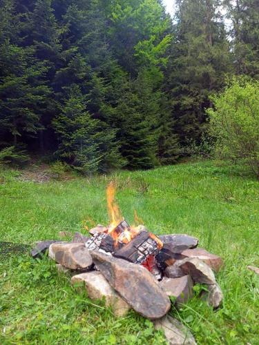 a fire pit in the grass in a field at Перлина Гір in Yablunytsya