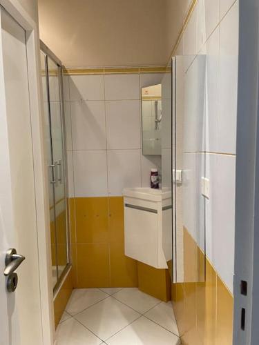 une petite salle de bain avec douche et toilettes dans l'établissement Le Rinaldi Appartement Cosy, à Albi
