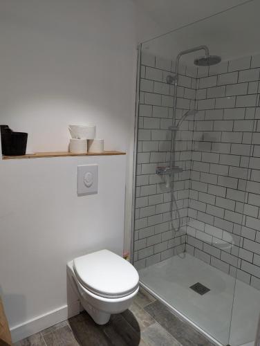 une salle de bain avec toilettes et douche en verre dans l'établissement Villa avec piscine à proximite de la plage 10 pers, à Ondres