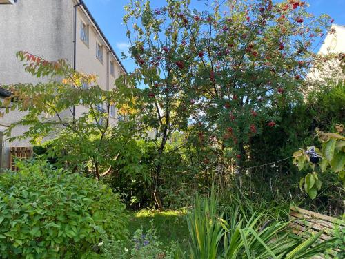 a garden with a tree and some bushes and a building at Caledonia House in Rosyth