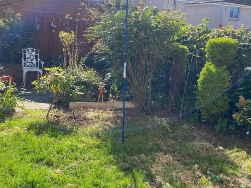 a garden with a hose in the grass at Caledonia House in Rosyth