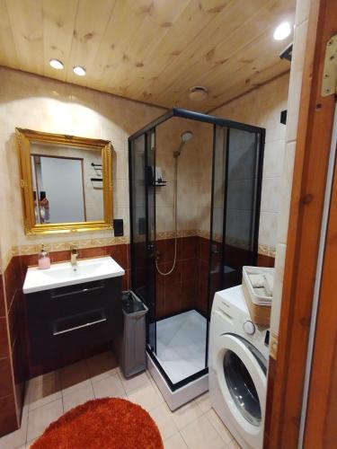 a bathroom with a shower and a sink and a washing machine at Kitse 26 Apartment- FREE PARKING in Pärnu