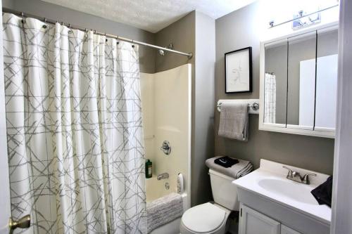 een badkamer met een douchegordijn, een toilet en een wastafel bij The Lounge - Downtown Chillicothe in Chillicothe