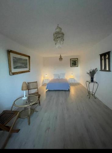 une chambre avec un lit et un lustre dans l'établissement Maison unique avec vue sur les vignes, à Baubigny