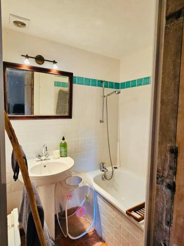 une salle de bain avec un lavabo et une baignoire dans l'établissement Maison unique avec vue sur les vignes, à Baubigny