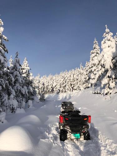 a fourwheeler parked in the snow with snow covered trees at Brvnare Golo Brdo in Mokra Gora