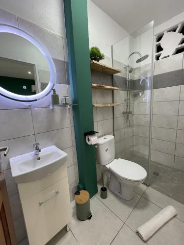une salle de bain avec toilettes, lavabo et miroir dans l'établissement Les Quatre Ambiances - Studios, à Baduel