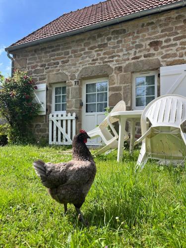 Photo de la galerie de l'établissement Gîtes Le Fer A Cheval Vassivière, à Royère-de-Vassivière