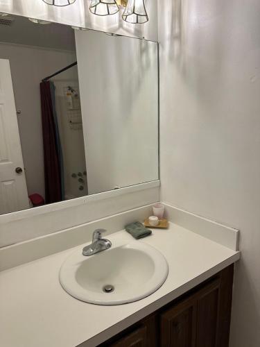 a bathroom with a sink and a mirror and a sink at Serenity Retreat near Camp Lejeune & Beaches in Jacksonville