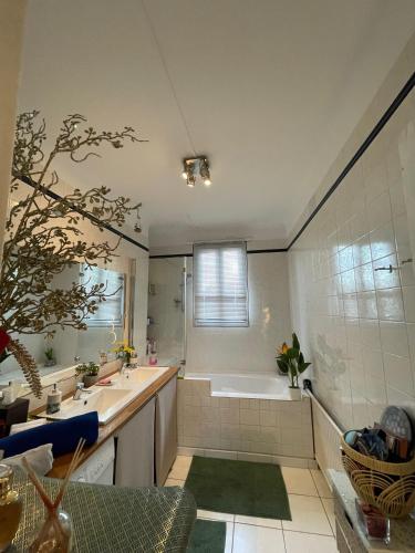 une salle de bain avec une baignoire et un lavabo et une baignoire dans l'établissement Sharmila, à Colombes