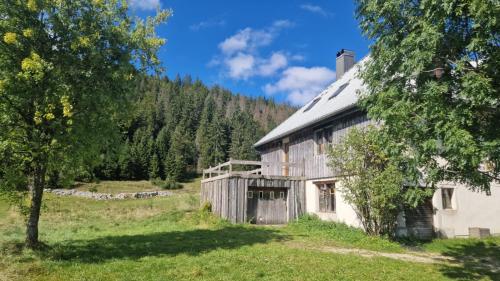 an old barn in a field with a tree at Maison de la Combe des Cives in Chapelle-des-Bois