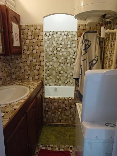 La salle de bains est pourvue d'un lavabo et d'une douche. dans l'établissement Chambres chez l'habitant, à Ajaccio