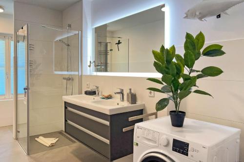 a bathroom with a sink and a washing machine at FeWo Muschelsucher in Wustrow