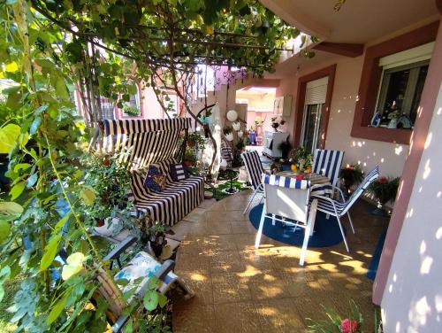 Gallery image of Apollon home apartments in Bar