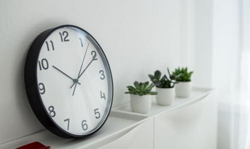 a black and white clock on a wall with potted plants at KOVÁCS Hosťovský dom Vendégház Guesthouse in Veľké Blahovo