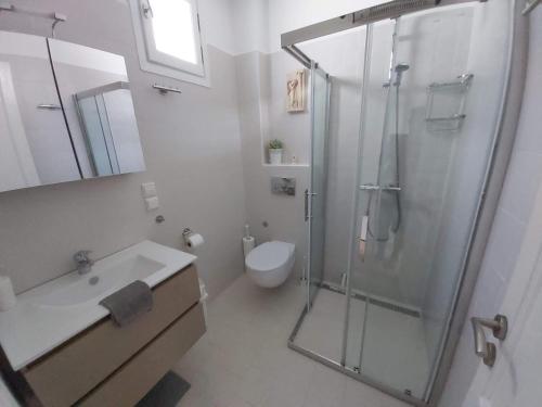 a bathroom with a shower and a sink and a toilet at Our dream, seaview, near the beach in Stelida