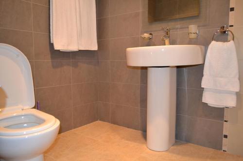 a bathroom with a white sink and a toilet at Villadzor Apart Hotel in Tsaghkadzor