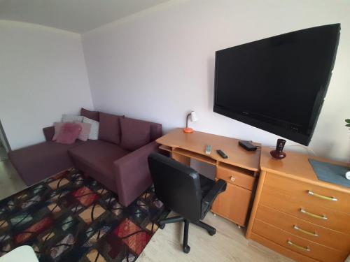 a living room with a couch and a tv and a desk at Apartament Laurka in Kamienna Góra