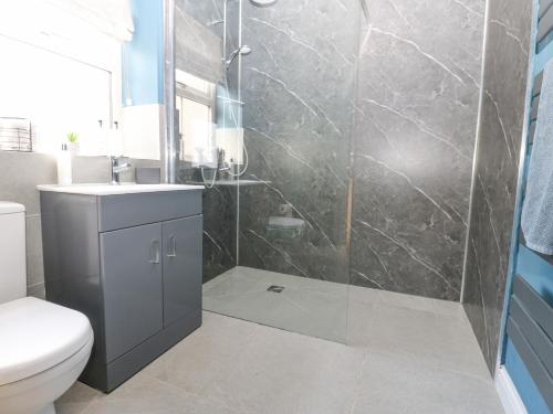 a bathroom with a shower with a toilet and a sink at East Crossthwaite Cottage in Newbiggin