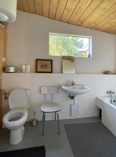 a bathroom with a toilet and a sink at Retro chata Vlastějovice in Vlastějovice