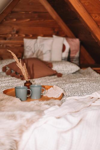 two coffee cups on a tray on a bed at Poddasze dla Znajomych - apartament z gorącą balią nad Jeziorem Czorsztyńskim - okolica Czorsztyn, Szczawnica, Velo Czorsztyn, Krościenko, Zakopane, Gorce, Pieniny, Tatry in Kluszkowce