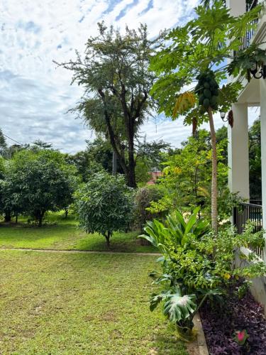 a garden with a palm tree and plants at Mealy Villa in Phumi Ta Phul