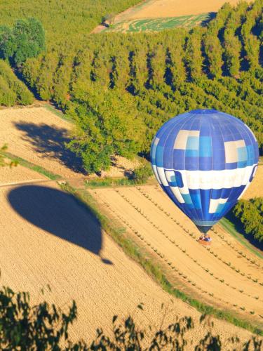 a blue and white hot air balloon flying over a field at La Vigna del Parroco-2- in Serralunga d'Alba