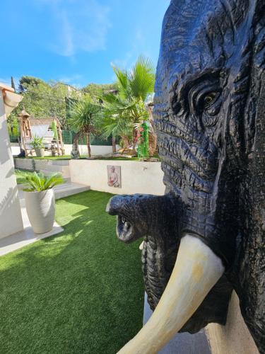 Ô Balinais mini villa avec spa et piscine chauffée privative Marseille photo 43
