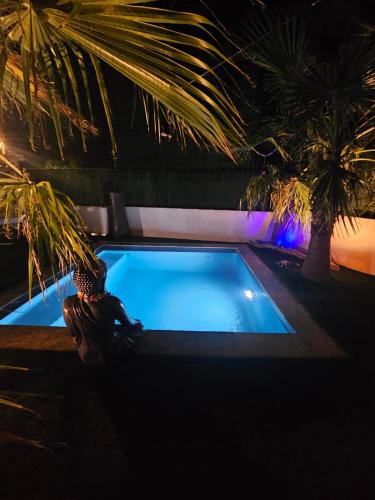 Ô Balinais mini villa avec spa et piscine chauffée privative Marseille photo 46