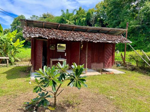 Un jardín fuera de Twin Hut