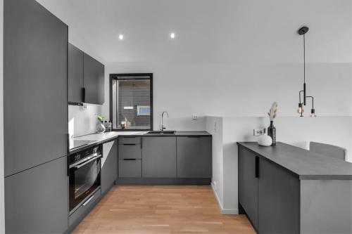 Dapur atau dapur kecil di Borealis Luxury Suite