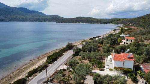 Φυσικό τοπίο κοντά σε αυτό το διαμέρισμα