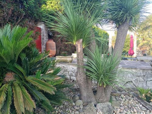 a garden with palm trees and a stone pathway at La Torre del Indiano-Villa- in Santander