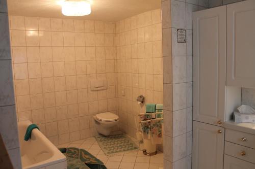 a small bathroom with a toilet and a sink at Landgasthof Hotel Zur Linde im Taunus in Gemünden