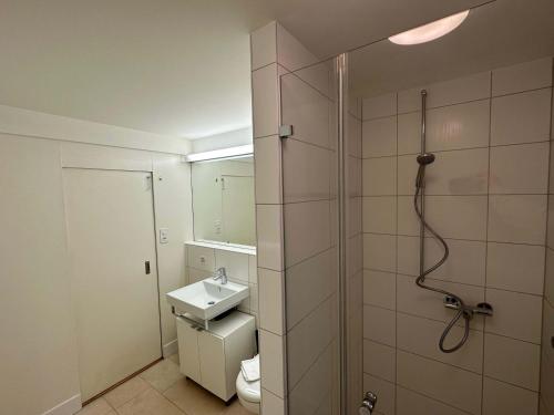 HITrental Limmatquai Apartments