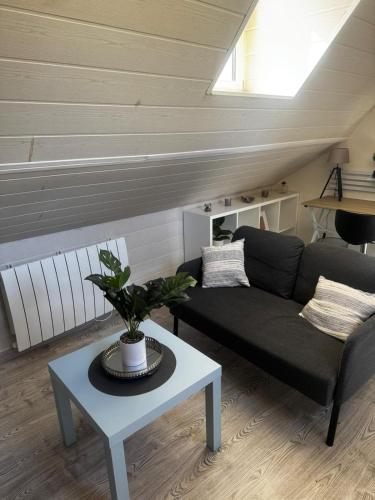 un salon avec un canapé et une table dans l'établissement Magnifique F2 du bonheur, à Besançon