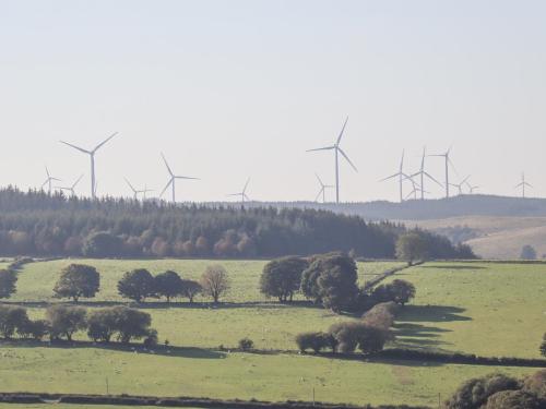 a herd of sheep grazing in a field with wind turbines at Weirglodd in Ruthin