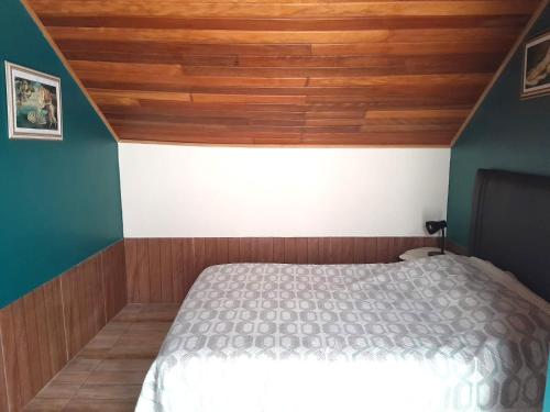 a bedroom with a bed with a wooden ceiling at Casa em Botafogo (Rio de Janeiro) in Rio de Janeiro