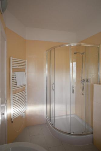 a bathroom with a shower and a sink at Penzion Solid Spa in Mladá Boleslav