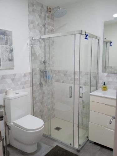 a bathroom with a shower with a toilet and a sink at Casa Ríos in El Burgo