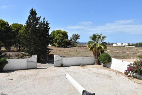 a road with a white fence and a palm tree at Hotel Villa del Sole in Porto Cesareo