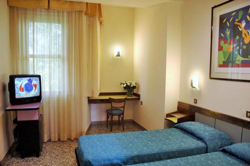 TV a/nebo společenská místnost v ubytování Hotel Napoleon