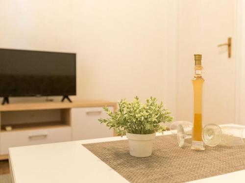 Apartment Tranquilo Garden - One Bedroom Apartment with Terrace and Garden View