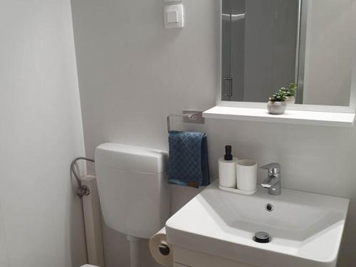 Mobile Homes Karlo & Dino - Two Bedroom Mobile Home with Terrace