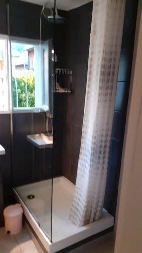 une douche avec une porte vitrée dans une salle de bain dans l'établissement studio situé à Argeles gazost proche de gavarnie, à Argelès-Gazost