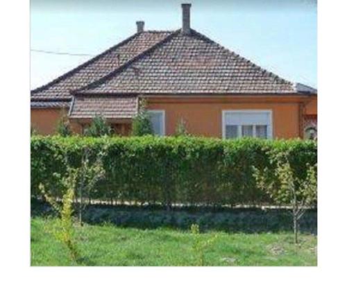 a house with a hedge in front of a house at Tünde Vendégház in Foktő