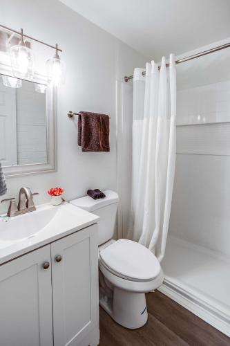 a white bathroom with a toilet and a shower at Newly Renovated Bright Studio in Rochester
