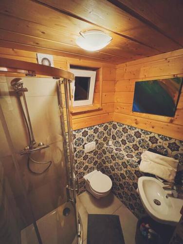 a small bathroom with a toilet and a sink at Polanka Beskid Niski cute cabin with spectacular views in Hańczowa