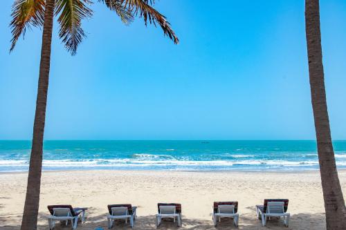 a row of chairs on a beach with palm trees at Bungalow Beach Hotel in Serekunda